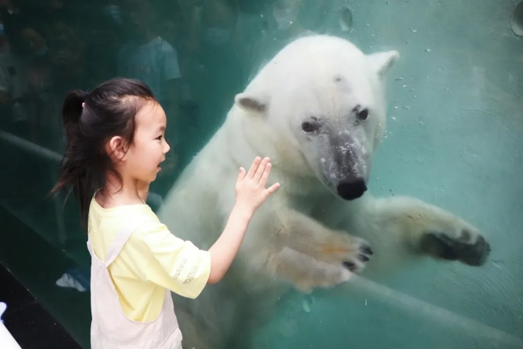 超值丨1大1小僅需258元，還送秦嶺野生動物園親子票